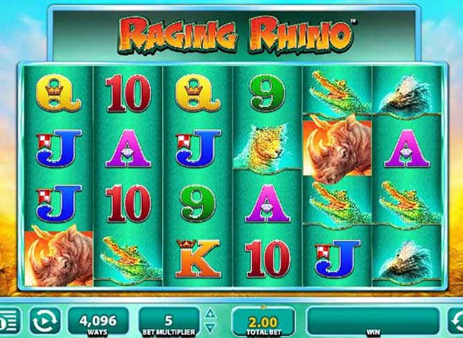 Raging Rhino